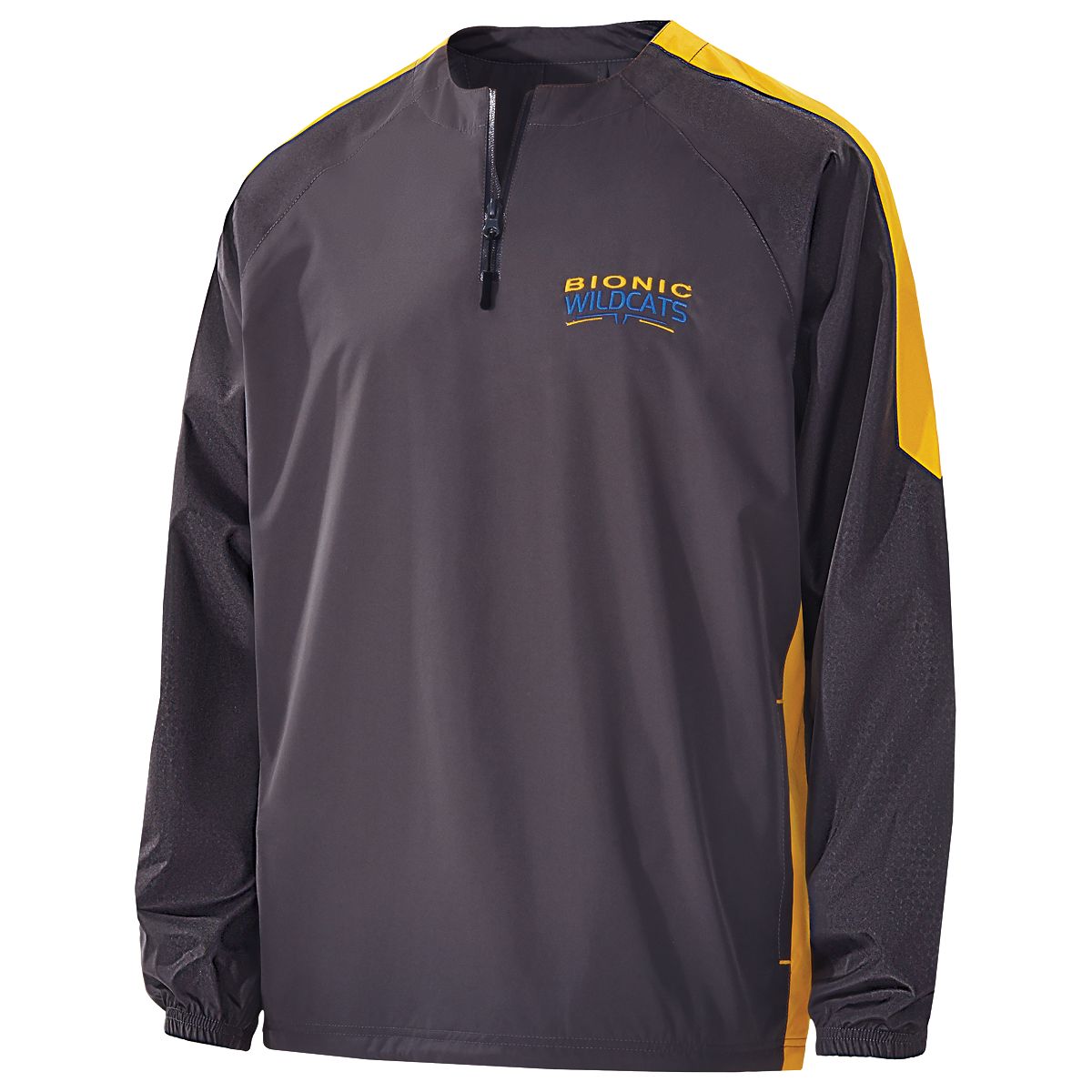 Bionic 1/4 Zip Pullover